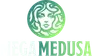 mega-medusa-casino.top